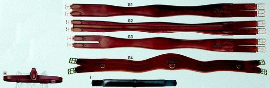 Jaguar Girths