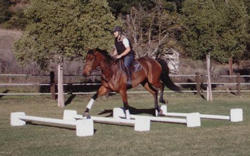 Quick Cavaletti