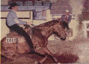 #16 Olympic Reining