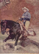 Olympic Reining