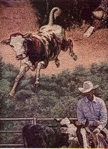 #17 Cut the Herd