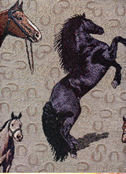 #1 English Horse Show