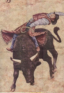 #20 Bull Rider