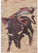 Bull Rider