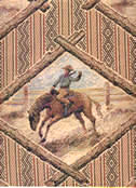 Bronco