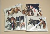 Greeting Cards