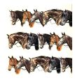 Horse Gift Wrap