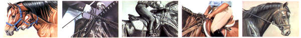 Equestrian Art