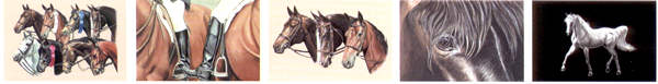 Horse Art Prints