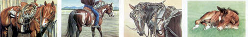Horse Art