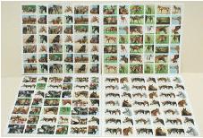 Horse Stickers