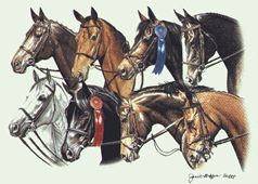 English Horses