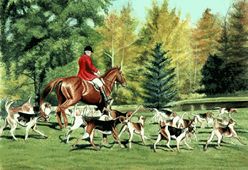 Fall Hunt