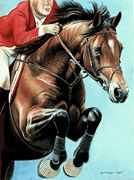 Grand Prix Jumper