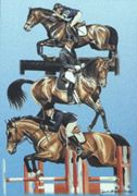 Horse Sport