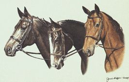 Three Thoroughbreds