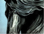 Designer Horse Links