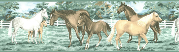 Spring Pastures #CL3362B Wall Border